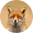 ProxyFoxy